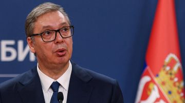Вучич раскрыл детали переговоров с Зеленским в Белграде