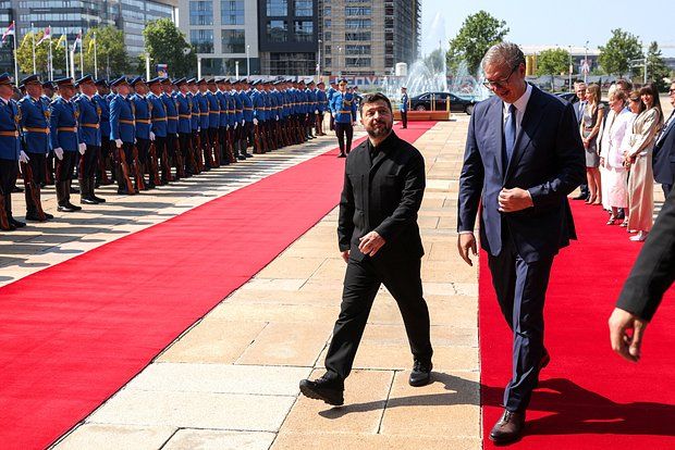 Сенатор Джабаров заявил, что Сербия устроила теплый прием Зеленскому в угоду Европе