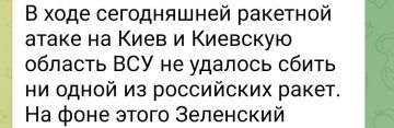 Николай Стариков: Источник паники, новых санкций и "мирных предложений" Зеленского один