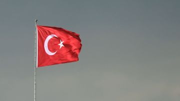 Бизнес Турции ждет от Анкары требования к Киеву прекратить атаки БПЛА в море