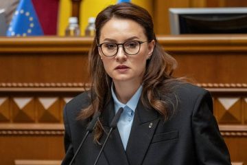 Депутат Рады Железняк: Новым главой «Нафтогаза» может стать бывший премьер Свириденко