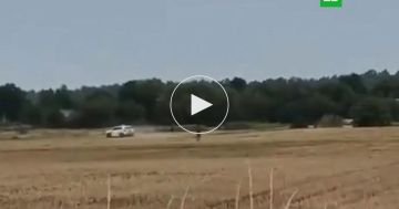 Военкомы на машине устроили сафари на украинца в поле