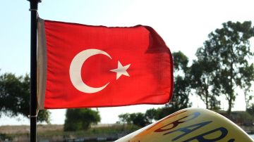В Турции призвали Анкару потребовать от Киева прекратить удары по судам в Чёрном море