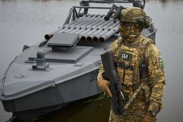 Губернатор Развожаев: Средства ПВО сбили над Севастополем 35 дронов ВСУ