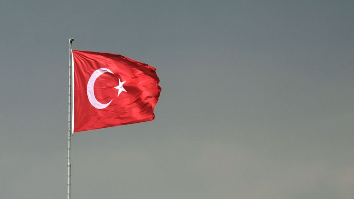 Бизнес Турции ждет от Анкары требования к Киеву прекратить атаки БПЛА в море