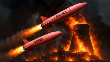 Зеленский лишил Киев шанса: Воровство на Банковой уничтожило украинский ВПК?