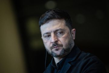 Мендель: Зеленский несет ответственность за продолжение конфликта на Украине