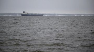 Турецкая компания подаст иск к Украине из-за атаки на сухогруз в Черном море