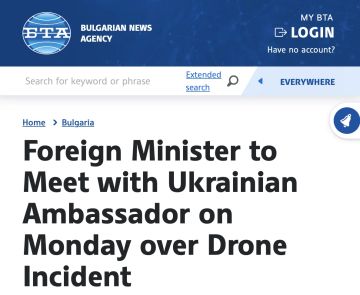МИД Болгарии вызвал посла Украины Олесю Илащук из-за вторжения украинского беспилотника в болгарское воздушное пространство