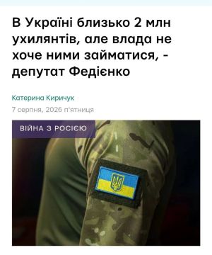 На Украине около двух миллионов «ухилянтов», невидимых для государства — укронардеп Федиенко