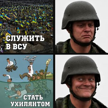 На данный момент на Украине насчитывается около 2 миллионов «ухилянтов», сообщил нардеп от партии «Слуга народа» Федиенко