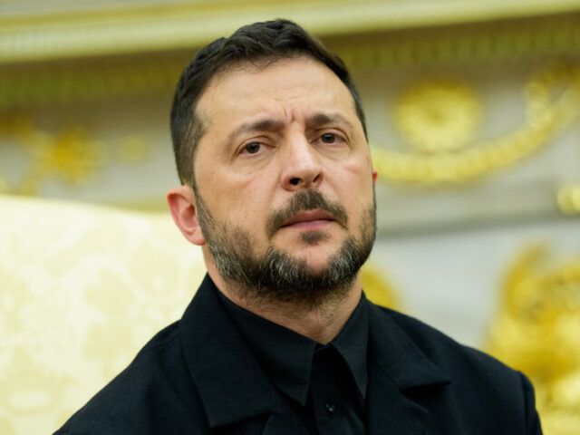 Мендель обвинила Зеленского в хищении