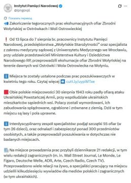 Алексей Васильев: Что-то интересное происходит в Польше последние пару месяцев