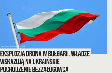 Болгарские власти подтвердили, что украинский тяжелый боевой дрон с большим боевым зарядом атаковал территорию Болгарии