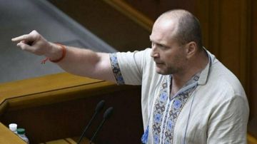 Бывший "правосек" Берёза* заявил о слежке со стороны украинских спецслужб в Вене