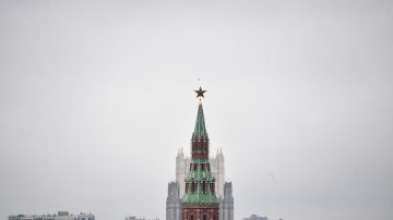 Галузин: Никаких официальных переговоров России с Германией по Украине не было