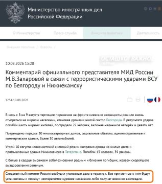 «Военное возмездие либо суровое наказание»: МИД России отреагировал на теракты в Нижнекамске и Белгороде