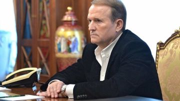 Медведчук: Palantir стала цифровым штабом украинской войны дронов против РФ