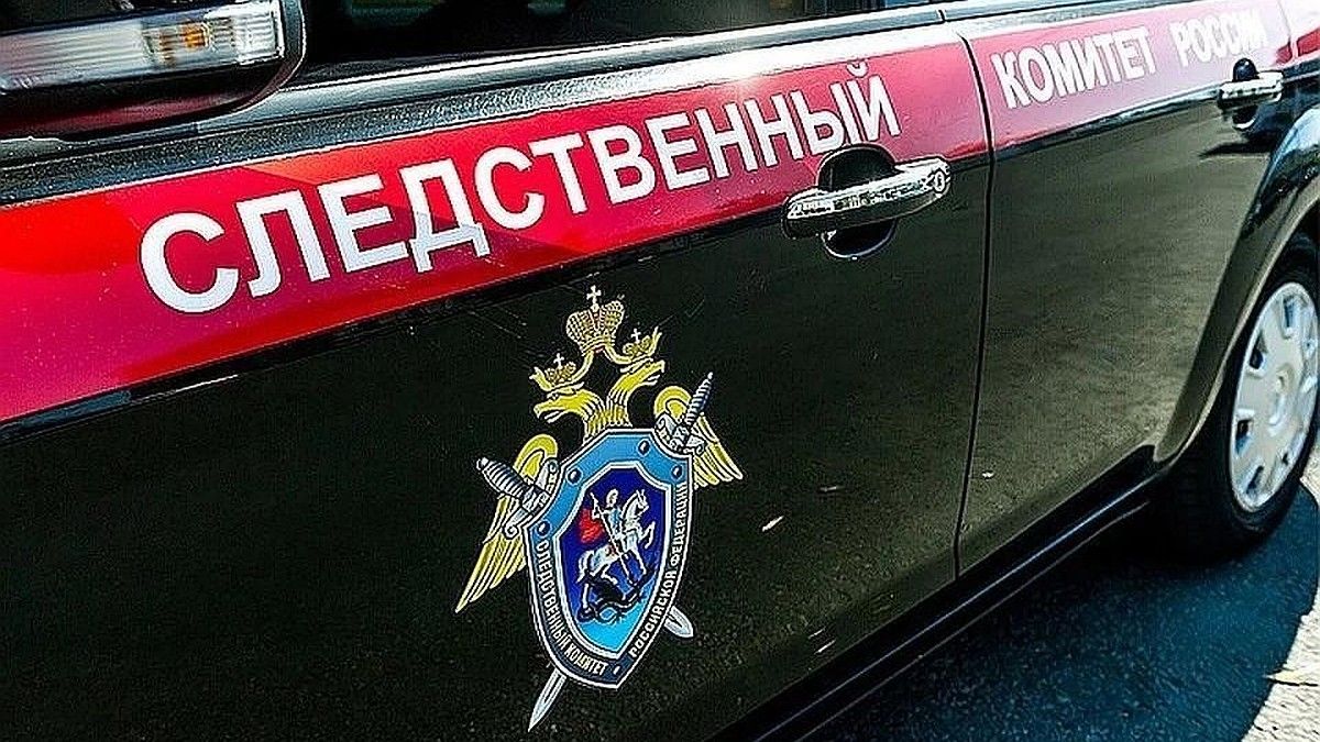 Слова вернувшегося из плена на Украине водителя легли в основу дела об убийстве депутата Петрова