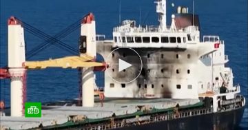 Владелец турецкого сухогруза подаст иск против Украины в суд в Гааге
