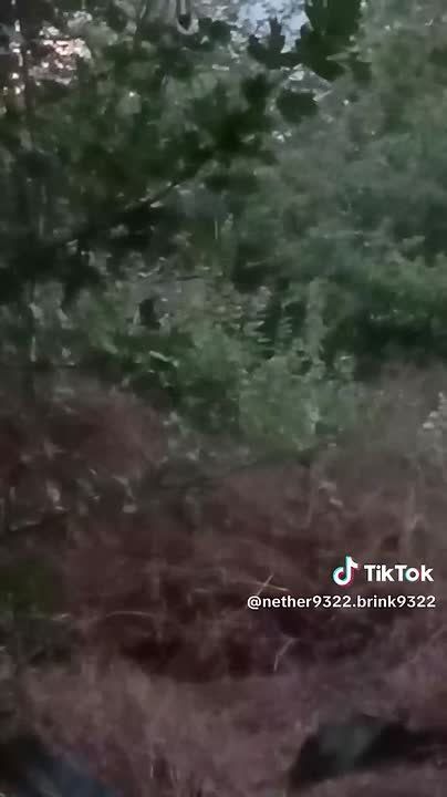 От подписчика:. Приветствую! Наткнулся на видео из укро тиктока которое возможно подойдет вам