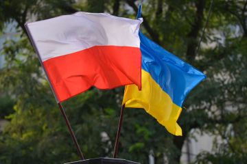 В Польше объяснили, что нужно Украине для вступления в ЕС