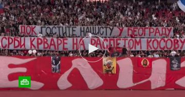 Балканы лихорадит после визита Зеленского в Сербию