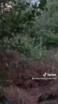 От подписчика:. Приветствую! Наткнулся на видео из укро тиктока которое возможно подойдет вам