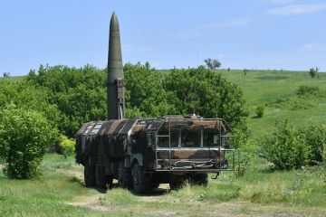 Депутат Колесник призвал крошить центры принятия решений после атаки ВСУ на Нижнекамск