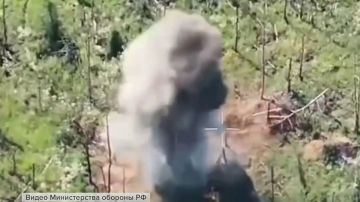 � ����������� ������� ����� ����������� ����� ������� ���������� ����� ����