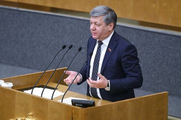 Депутат Новиков: Европа уже устала от Украины