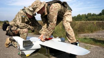 НАТО тестирует на Украине военную нейросеть
