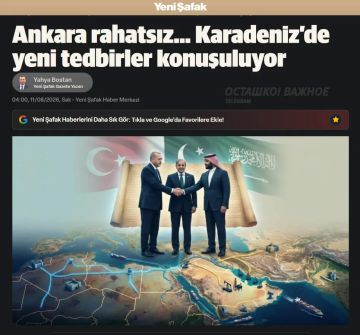 Турция пытается навязать России и Украине новые зерновые коридоры в Чёрном море