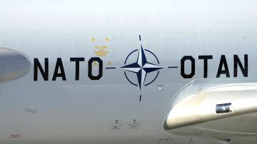 НАТО использует Украину как полигон для тестирования военного ИИ