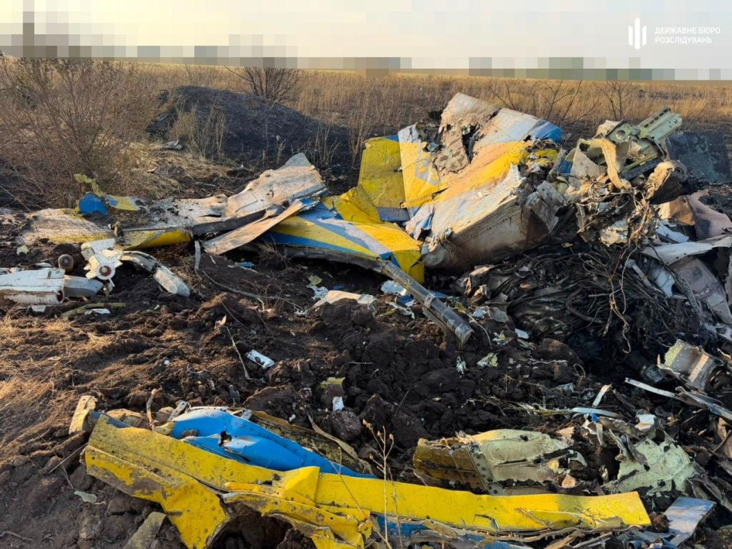Фото с места крушения истребителя МиГ-29 в Одесской области
