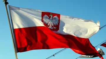 Польский депутат хочет сформировать дивизию ВСУ из неработающих украинцев