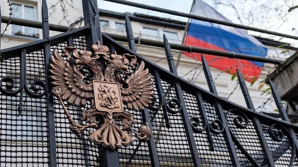 Посольство РФ прокомментировало эксгумацию главаря ОУН* в Нидерландах