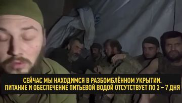 «Пьём свою мочу, чтобы выжить»