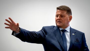 "���������� �����": ������� �������, ��� ������ ������� ��������� ������ ���������� �������