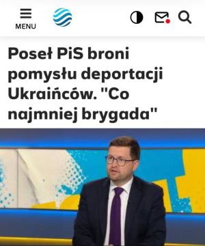 «Депутат от партии «Право и справедливость» защищает идею депортации украинцев»: В Польше намерены депортировать безработных украинских мужчин призывного возраста