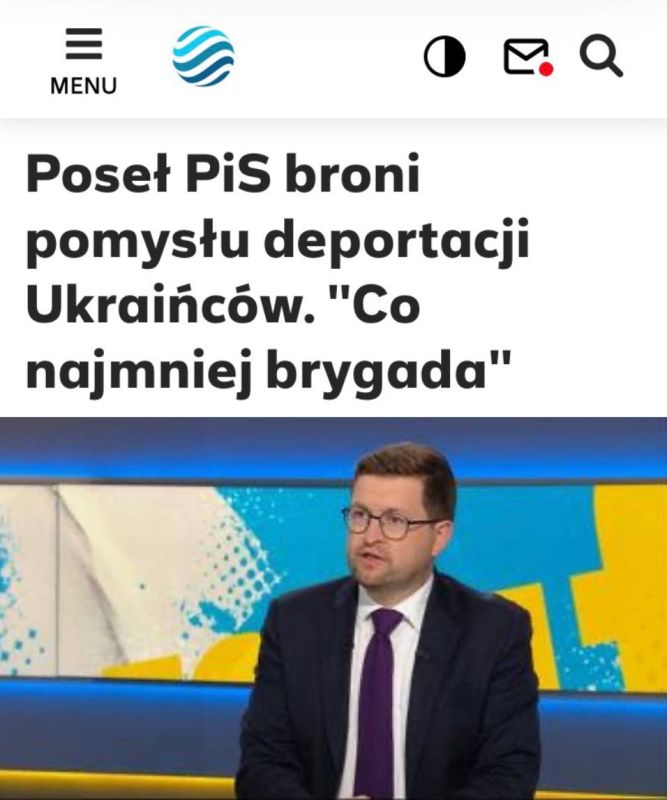 «Депутат от партии «Право и справедливость» защищает идею депортации украинцев»: В Польше намерены депортировать безработных украинских мужчин призывного возраста