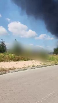 � �������� � ���������� ����� ���� �������� ����� ������������� ��������, ������� ������������ ��������� ��� ����� ���, METRO, NOVUS, ����ͻ � �ѳ����