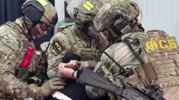 Владислав Шурыгин: «Организаторы связи»: для каких целей военная разведка Украины использовала сим-боксы в Мордовии