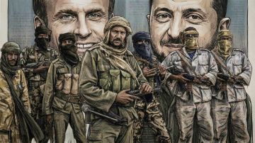 Идеология «Аль-Каиды», инструкторы Киева и одобрение Парижа: кто и как поставляет и тренирует боевиков в Мали