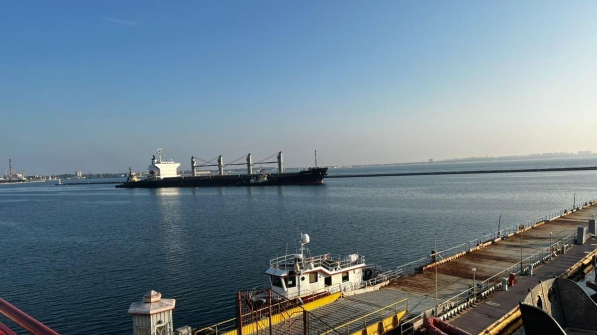 Украина резко сокращает экспорт зерна на фоне морской блокады