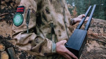 На Западе признали печальную для Киева правду: ВСУ не в силах остановить российские войска