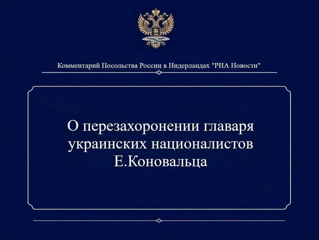 Посольство России в Нидерландах: