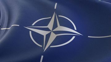Украина попросила помощи у НАТО
