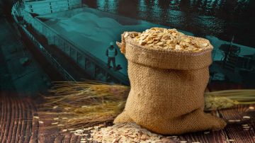 Экономика Украины и война: экспорт усыхает, склады горят, цены растут
