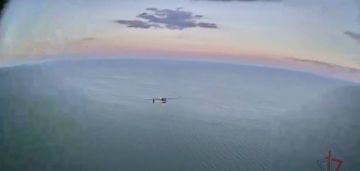 Дроноводы Росгвардии сбили беспилотник ВСУ над Азовским морем